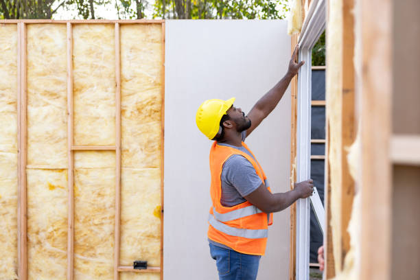 Best Energy-efficient Insulation  in Griffith, IN