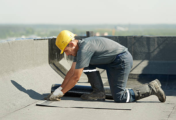 Best Insulation Removal  in Griffith, IN