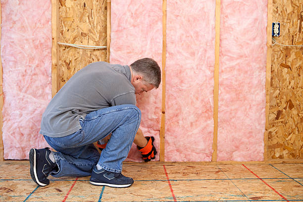 Best Affordable Insulation Services  in Griffith, IN