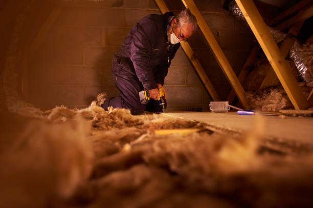 Best Insulation Contractors for Homes  in Griffith, IN